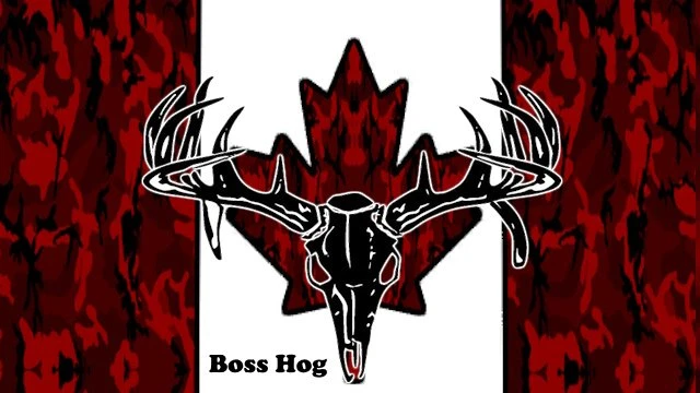 Boss Hogs skin pack 1